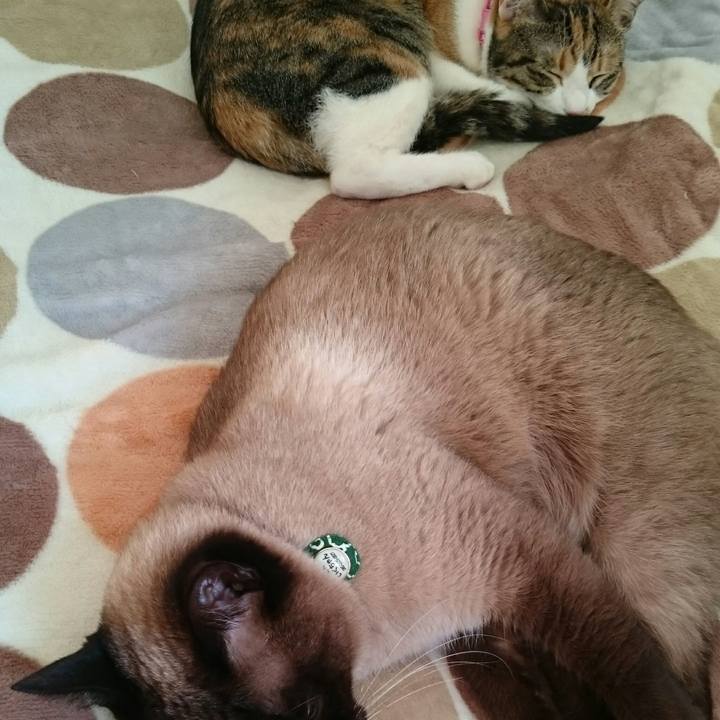 4cbf1644 e943 4de8 97e9 869a3e543ce8