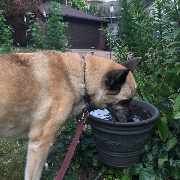 4cbf7dc4 baca 43cd bfd0 f67d8f89512a