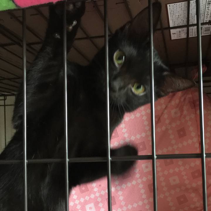 4cbf9bda ffb0 4c7d bcfb 080ff0b016b3