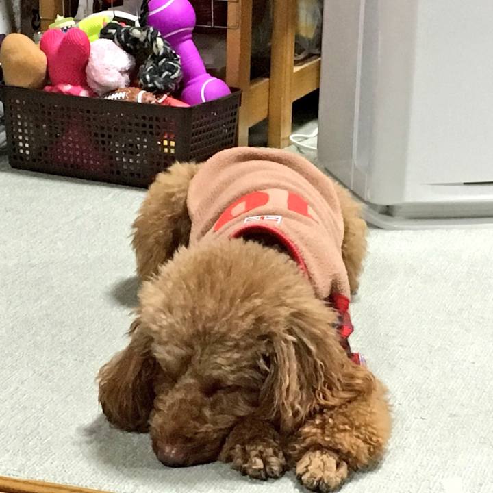 4cbfe7dc 33c0 4a2e 9e9d 4522f6f4210f