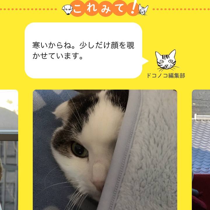 4cbfee34 778b 4fab ae22 905d261f8cc0