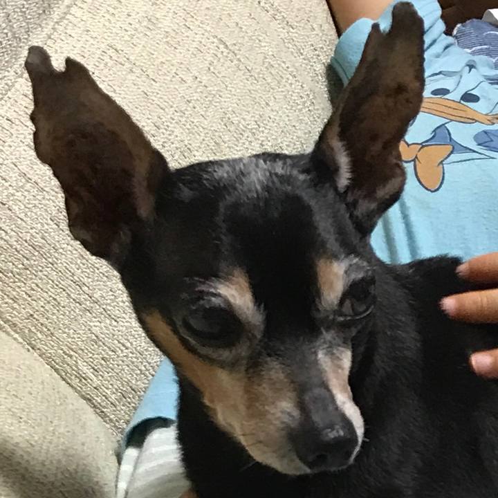 4cc026d8 a786 4ea8 99d1 dbace223e341