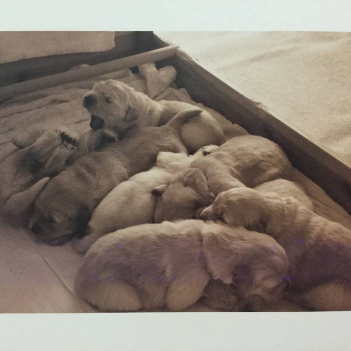 4cc0b5f4 c13f 4568 89a3 51f9a25fdedd