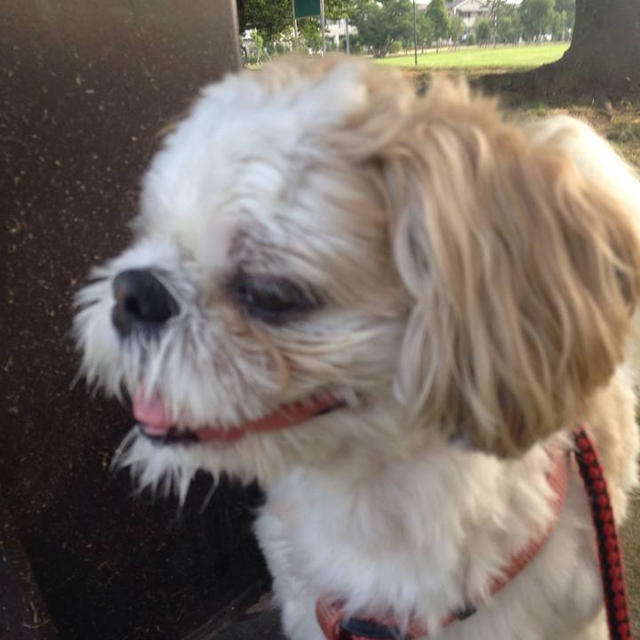 4cc0feae eb50 4d10 a277 f54cd0736c72