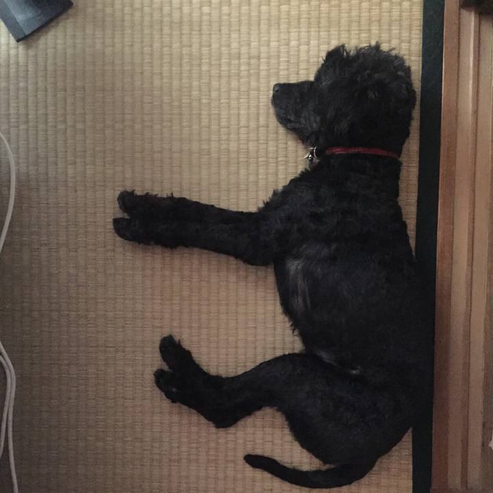 4cc14066 67d9 4337 a478 f8bd347c8873