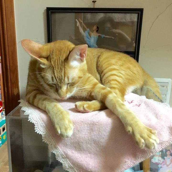 4cc1be60 48d2 4896 bf73 15eecb334c54