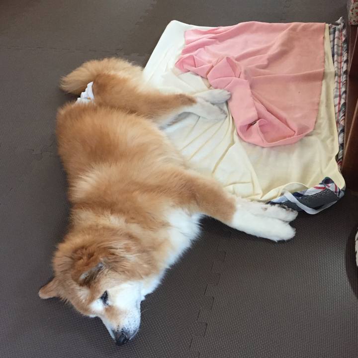 4cc20458 4f88 49ad 8fcb c137a4d48fa3