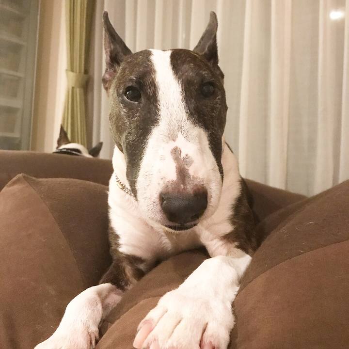 4cc23b99 f14d 4b95 9eb8 60300d3bc404