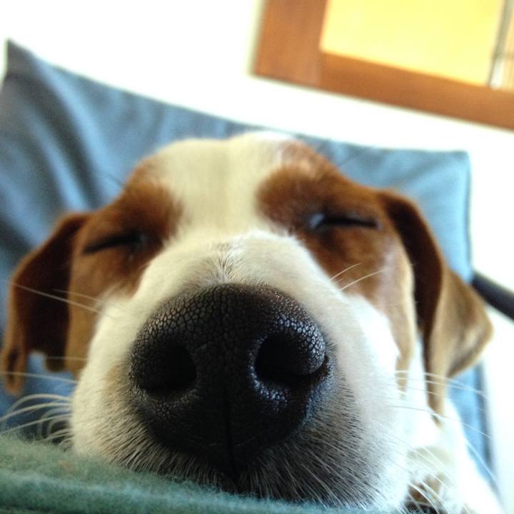 4cc2d306 6cf7 4170 8ed2 f4d78d8c95d7