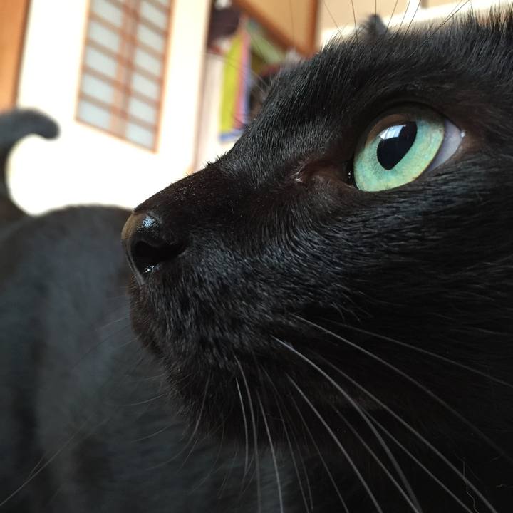 4cc2db52 835a 4707 8807 5aec181c9620