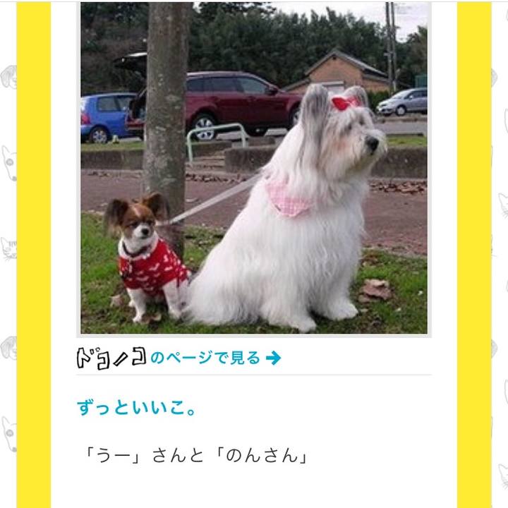 4cc3780c e4a9 44f4 a8d6 50c47a677e81