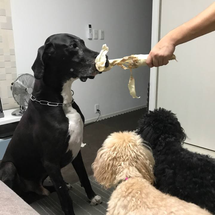 4cc3a6a6 ec00 451d aa8d 17f74ef66768