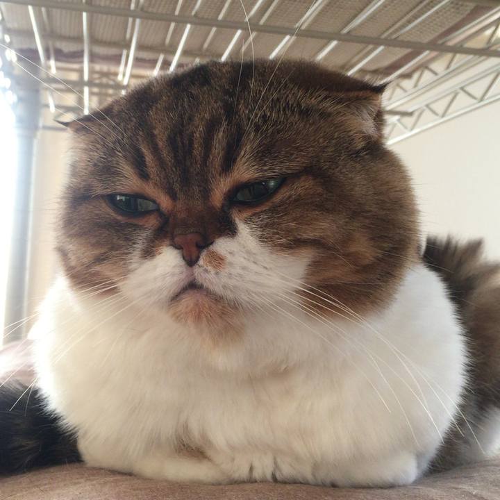 4cc40215 d128 4ac1 80ea ca804c9c5e3b