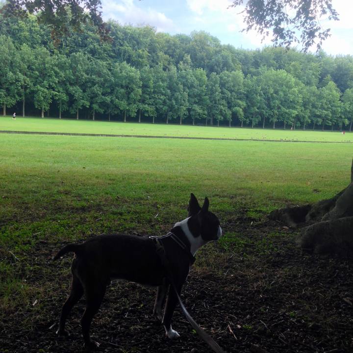 4cc4b51d ef77 43c2 9042 2b907af1c555