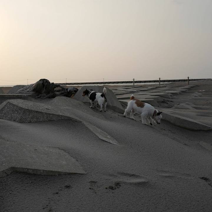 4cc50815 cd53 45e7 bb23 88768b2bc40e