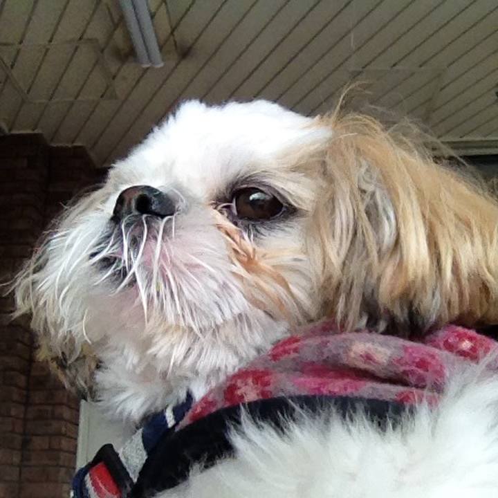 4cc552de fab6 48f8 9065 3225277c19b7