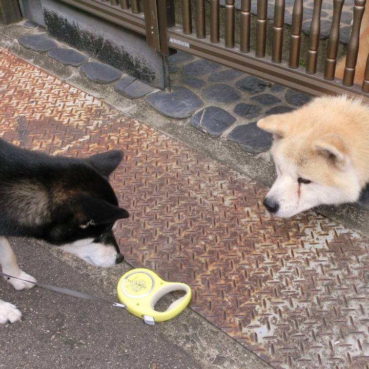 4cc5d569 f04b 4541 9729 2a8df9971d28