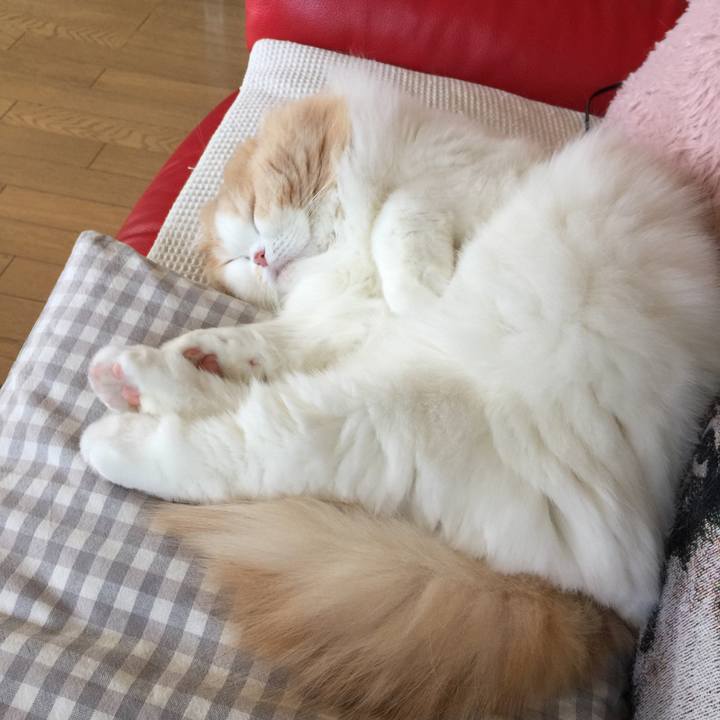 4cc708f3 02b3 4886 98a2 39c6aeaee1c1