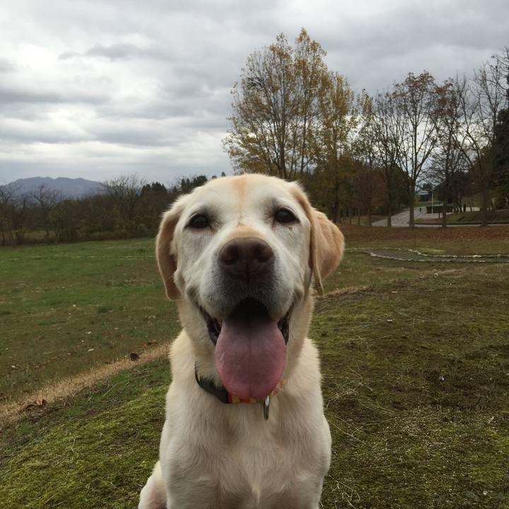 4cc7a3bd 8fcb 4846 8eb9 fdd96f97a27d