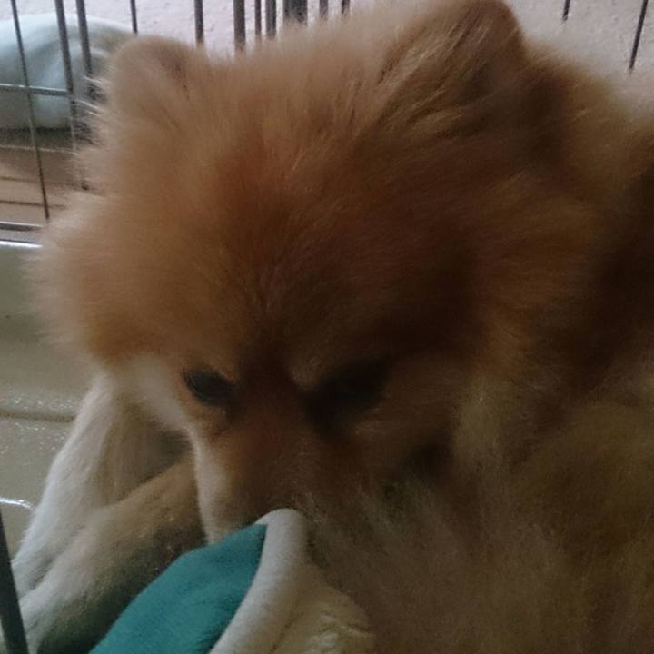 4cc7f523 4197 4669 9b78 6b7342aa360b