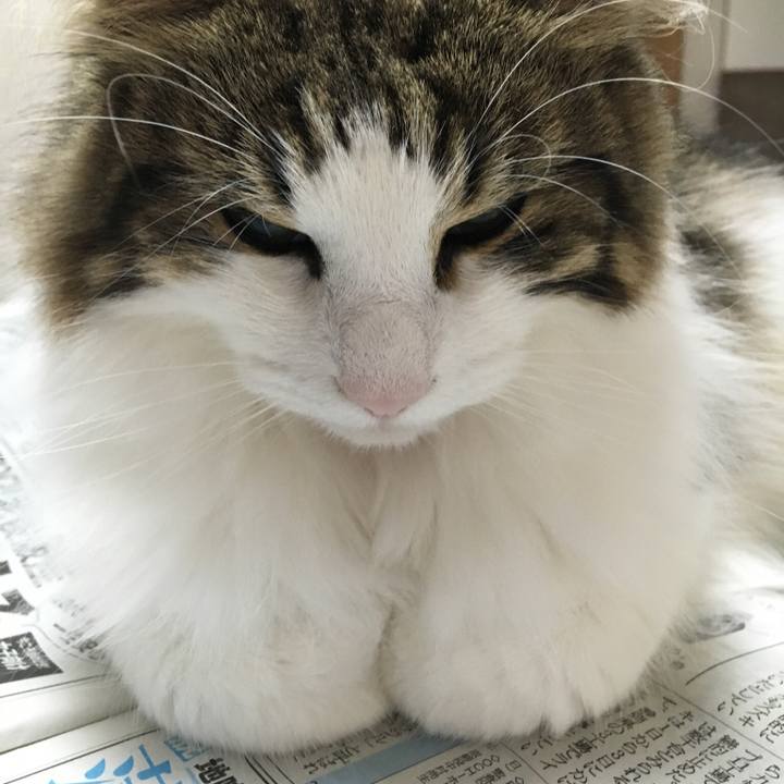 4cc86703 4742 4dab b719 8503457a14bd