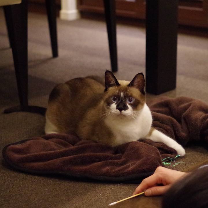 4cc87c63 831b 41c4 94ce 1e88f39549a2