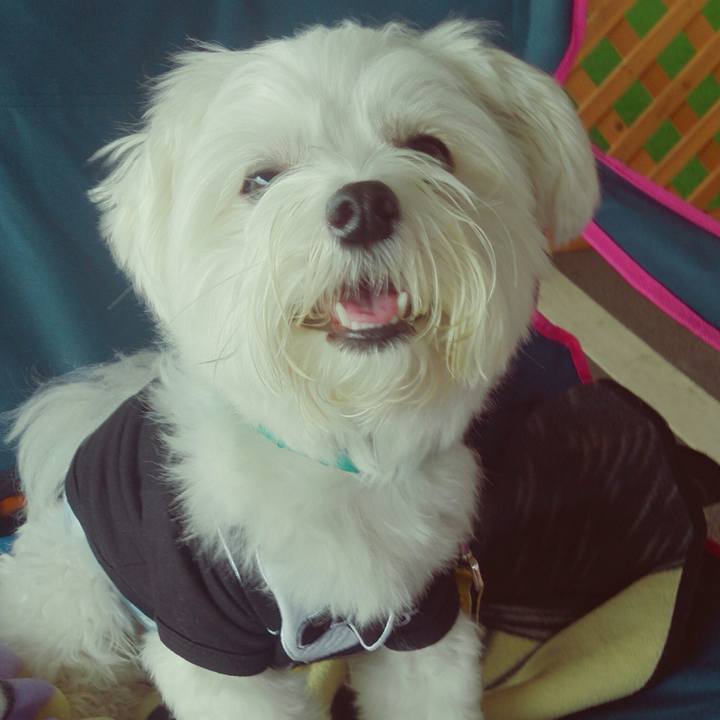 4cc8bc5b c31d 44f2 addd 49c07bf05e61