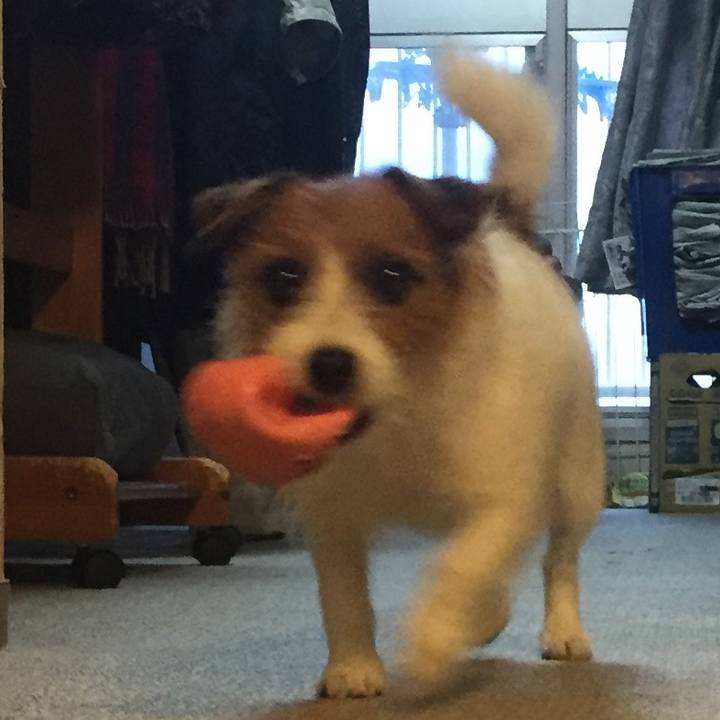 4cc933bf 9898 4004 a4ec 4c8a0af9d1c4