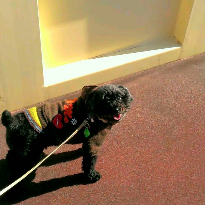 4ccb758a 9718 4538 bb92 0574f94343b4