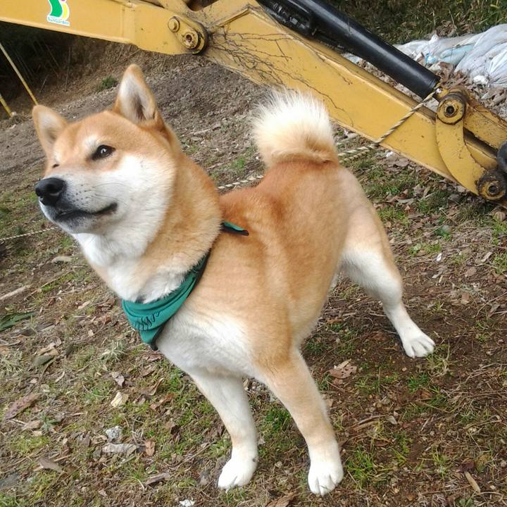 4ccb88e9 eb21 4a26 9625 4a9e16f5b40f