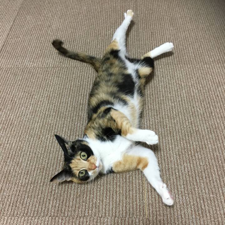 4ccbd348 8265 48fa 951e 0871514aab91