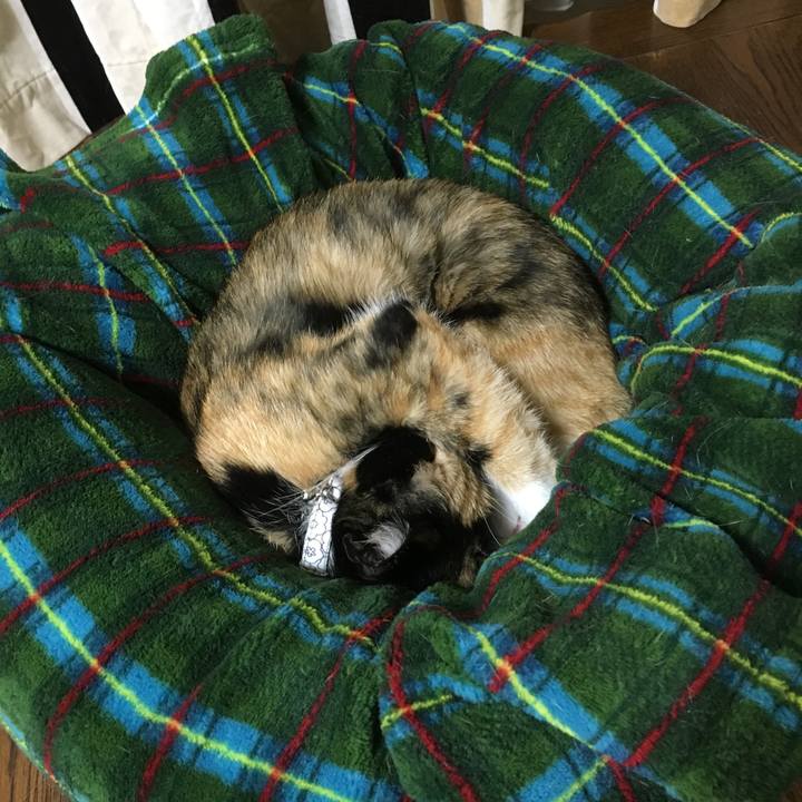 4ccc79ac 7faa 4bc2 a815 efee8908c6d7