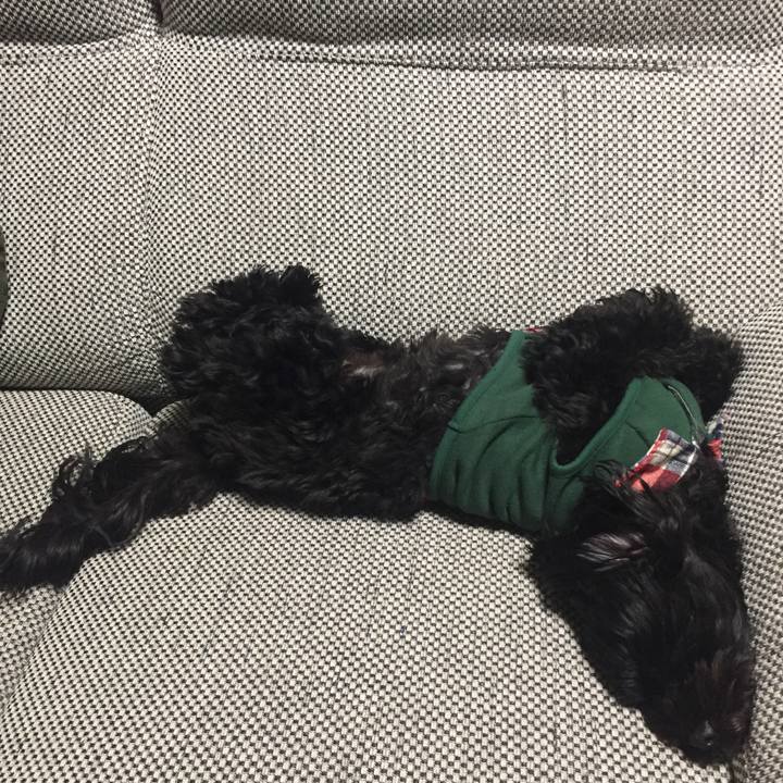 4ccd0f48 e8b4 43f4 91f5 bf5570ac32fb