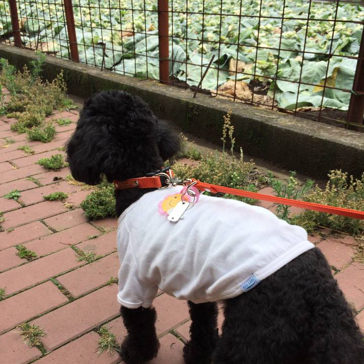 4ccdbf5b c0a5 43bf a0de a2a33d89709f