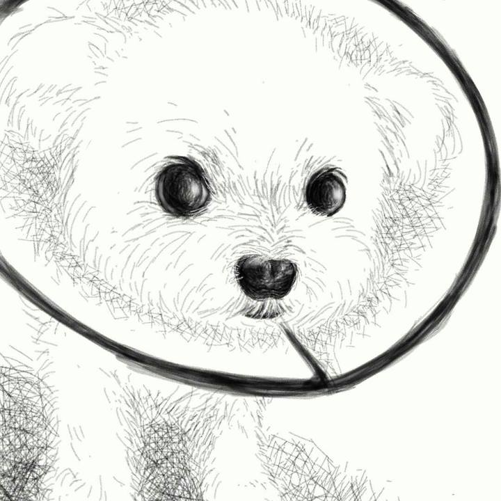 4cce34f4 ece8 4639 90d9 2fda3ed073bb