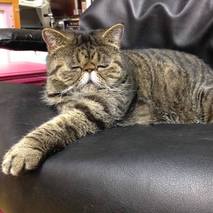 4ccf232a 3645 4147 822e be62dfb0bd61