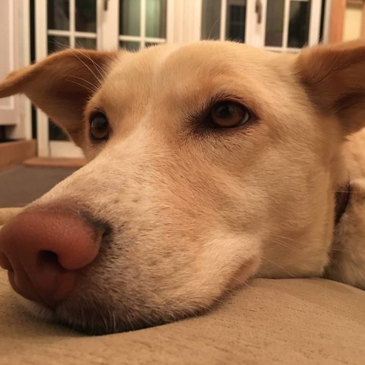 4ccf9a34 e8c4 4281 95ae 0f575a6f70bc