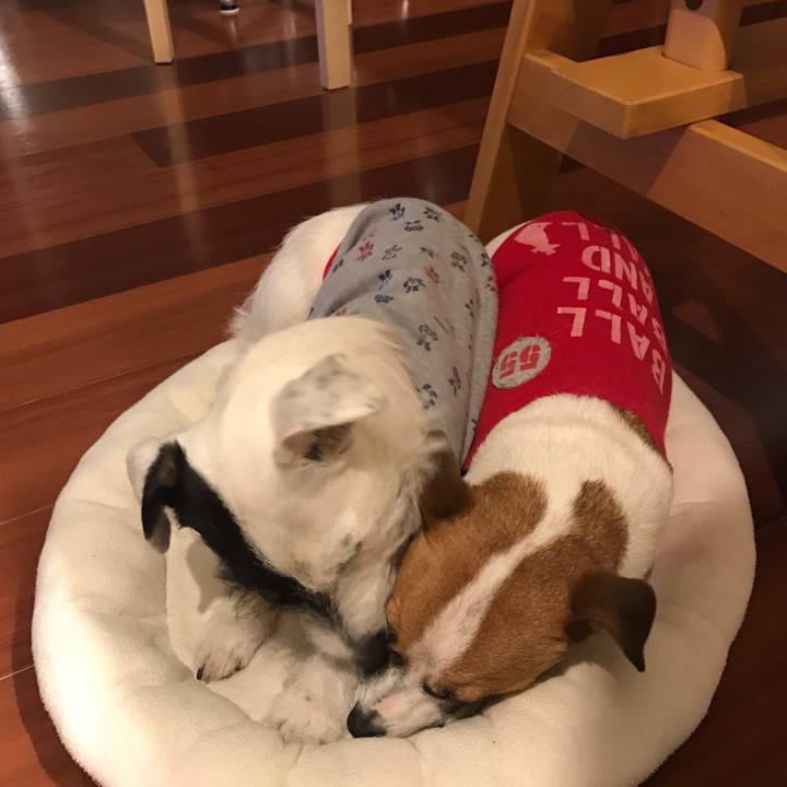 4cd05beb 3a8b 4f19 bb40 d7ddeef0eceb