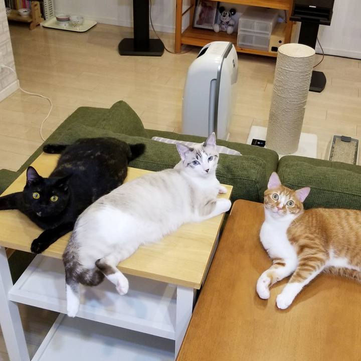 4cd1aa8a 4901 4992 ae15 0a242a6dfcca