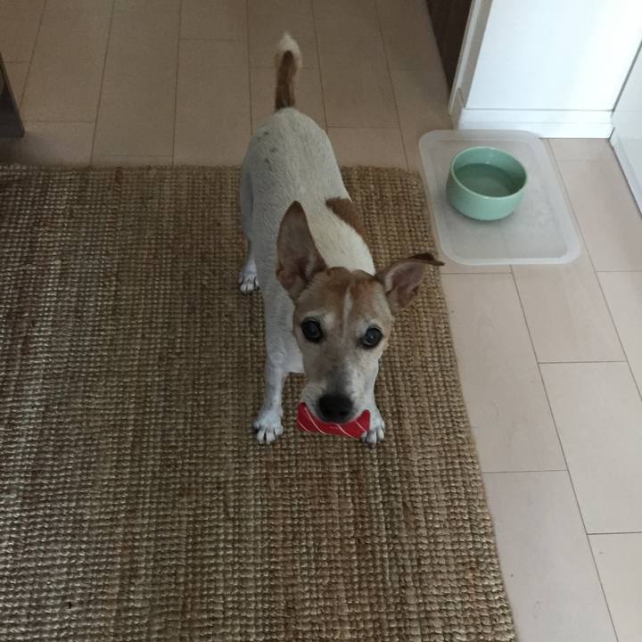 4cd28c05 e9e6 4bc1 84de 53ae284d8da4