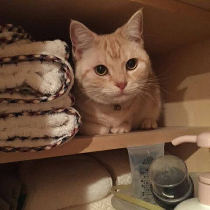 4cd296b6 f783 4886 9f98 1d1c331af797