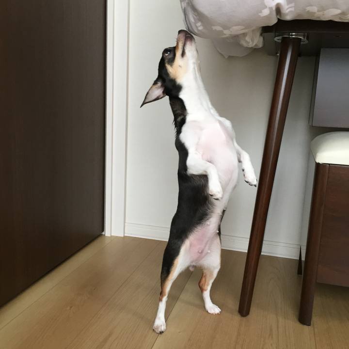 4cd2bdc0 9c36 42a9 aaec f0ce16876fca