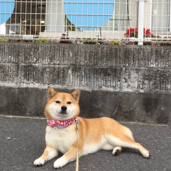 4cd30b0f 6412 4813 b156 616434fa54cf