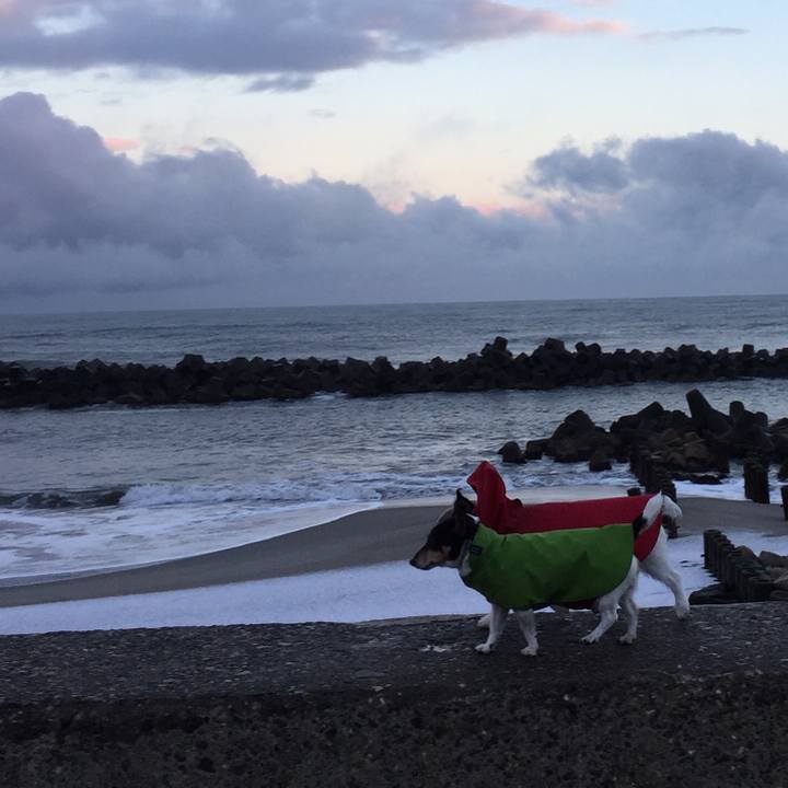 4cd346dd 3533 4640 b468 88a7d506d6f3