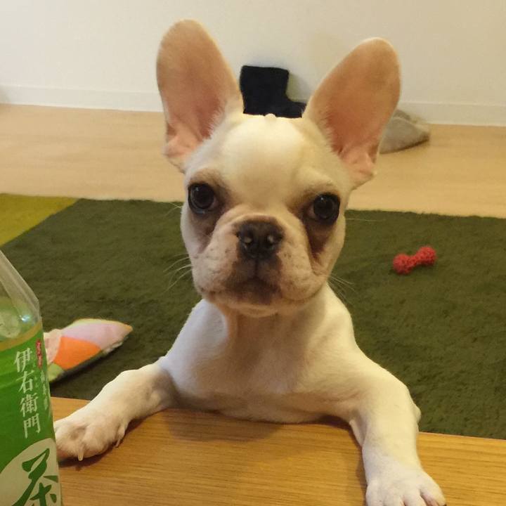 4cd49f30 b896 4c7a aae3 32cac26c57ba