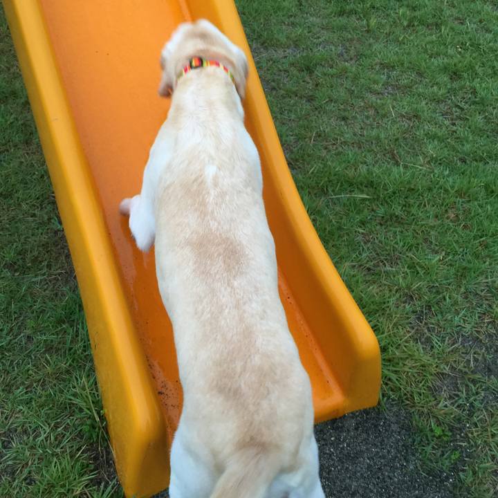 4cd532fd c354 44e0 9c3b ec9381242623