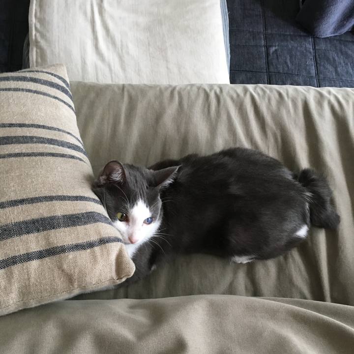 4cd5b0da 1eca 4f0e ad46 08b119483815