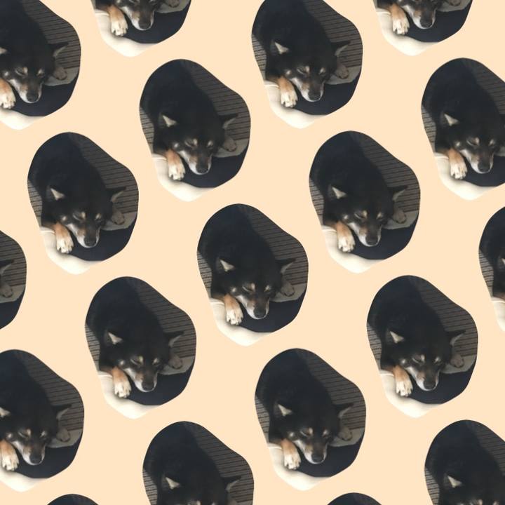 4cd5ed2b dd5f 46b9 b3eb ad0079d87cae