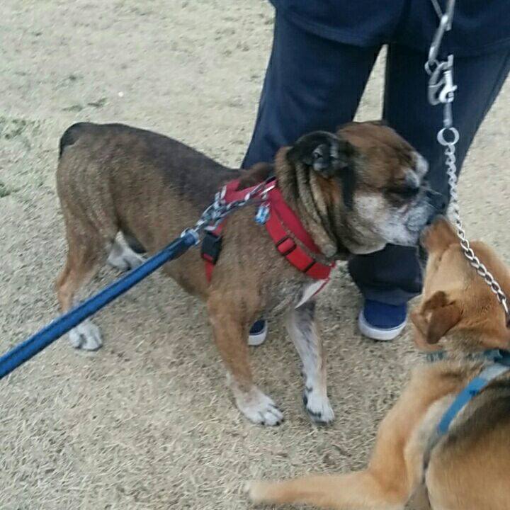 4cd67e35 d642 4c94 ad5c 2c4efccb06f6