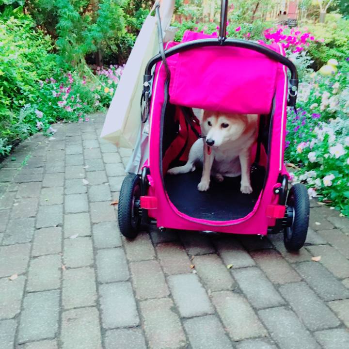 4cd754df 2cf2 48c2 865b c70b26aab379